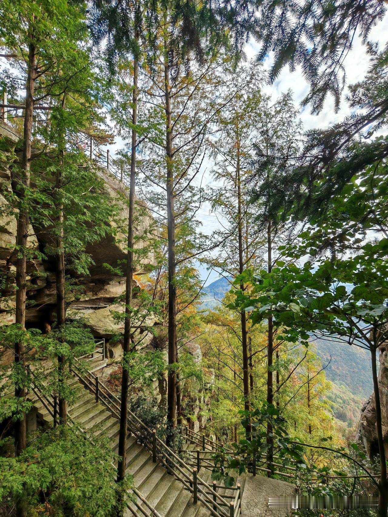 我的摄影日记走访商城~调研交流~美轮美奂💐🌞​最大收获:人生在世，要