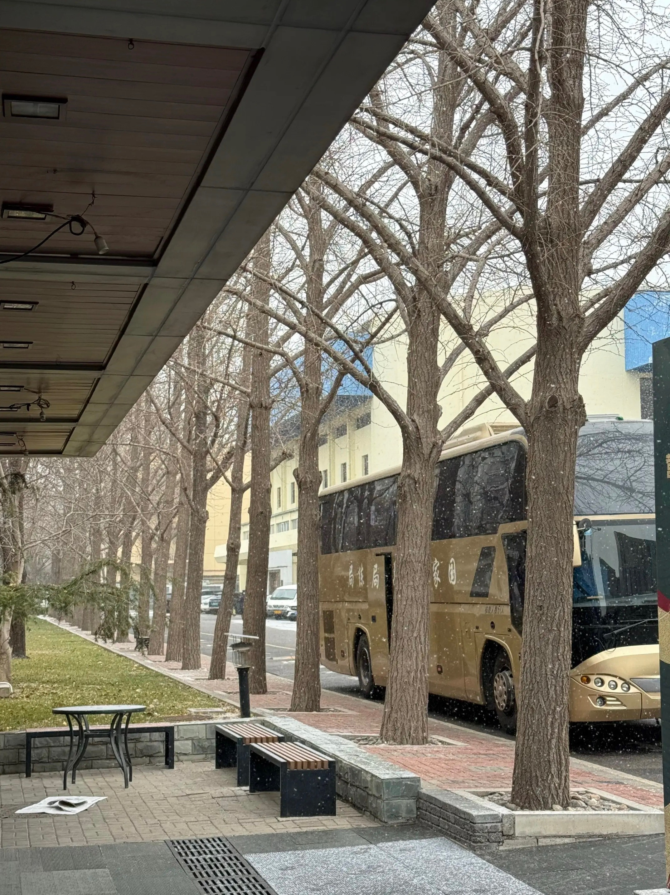 梁俨苧：记录一下入冬的第一场雪，有哈士奇睡觉的时候应该不会冷下雪了注意保暖