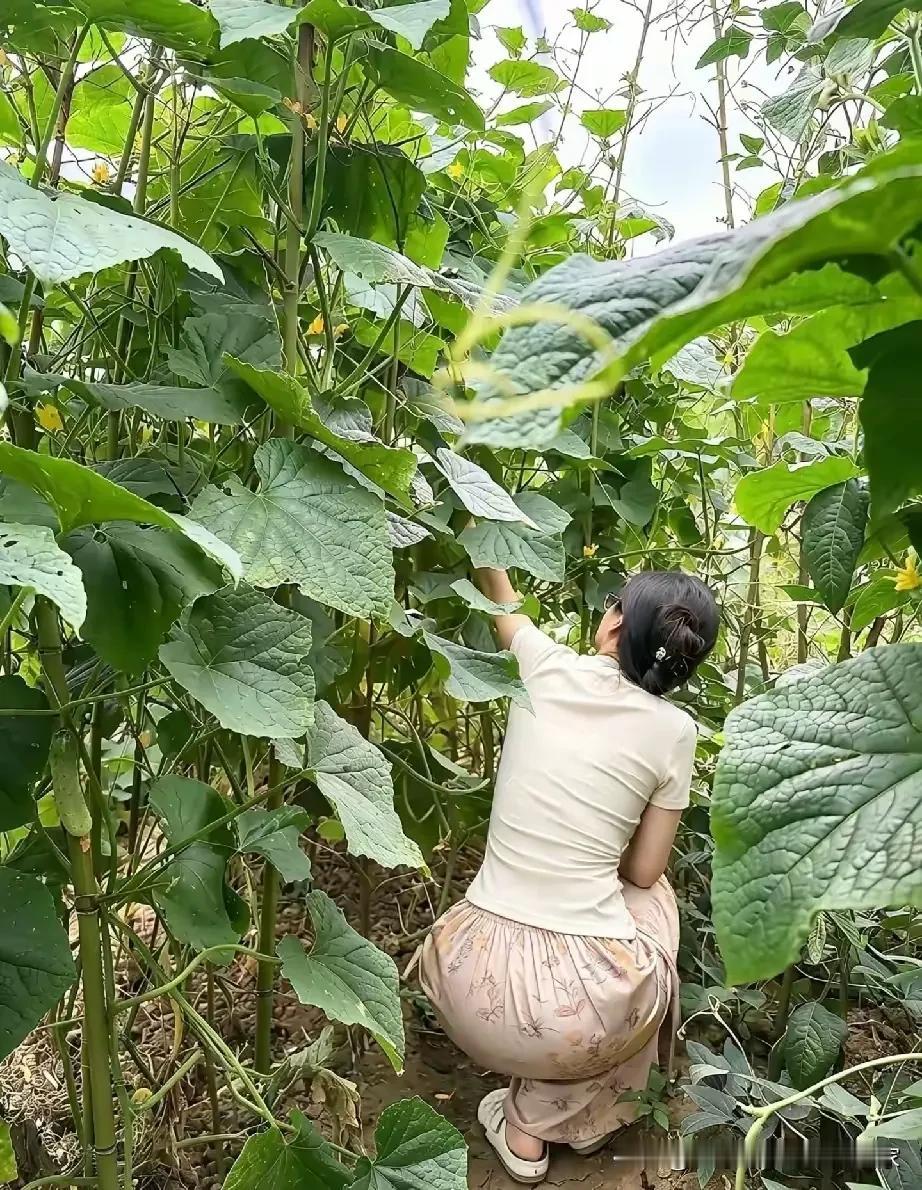 记录生活，随手拍张照