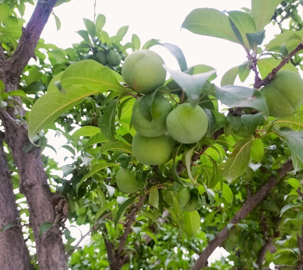 保姆不来了，父母还指望我每天继续去给他们做饭洗衣。我这次果断拒绝，没想到姐姐，弟