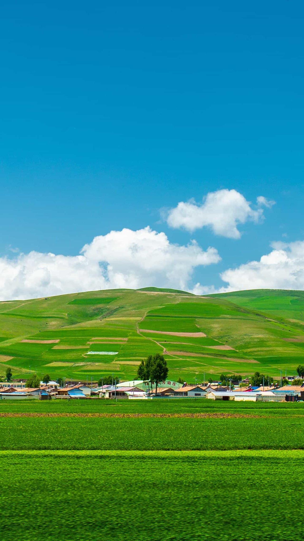 岁暮年轮不禁物侯催，日月夕朝几轮回。渐渐远蹄听马尽，未羊来处几衔梅。
