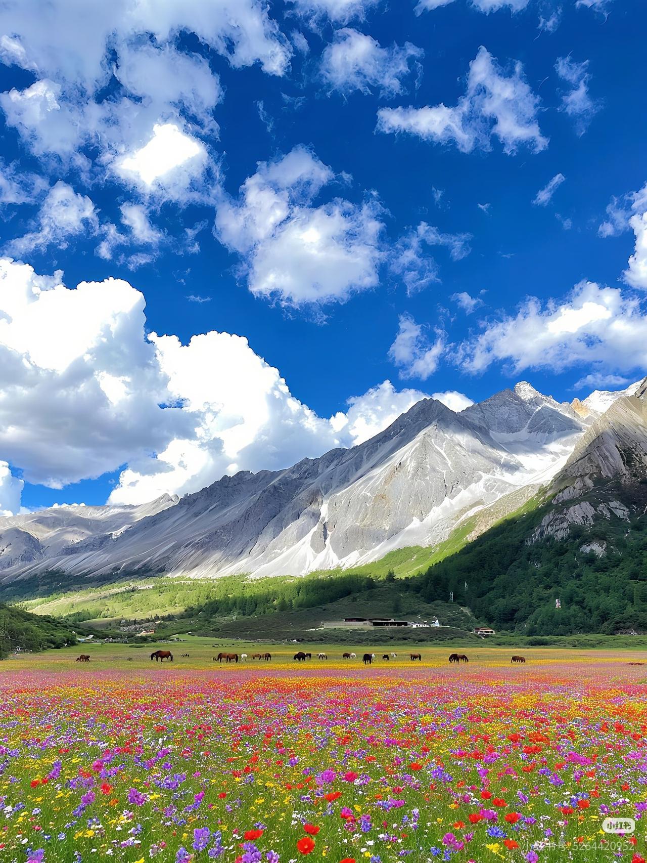 格聂南线｜川西天花板！这才是真正的横断之心如果说川西有一条路能让你从理塘一路