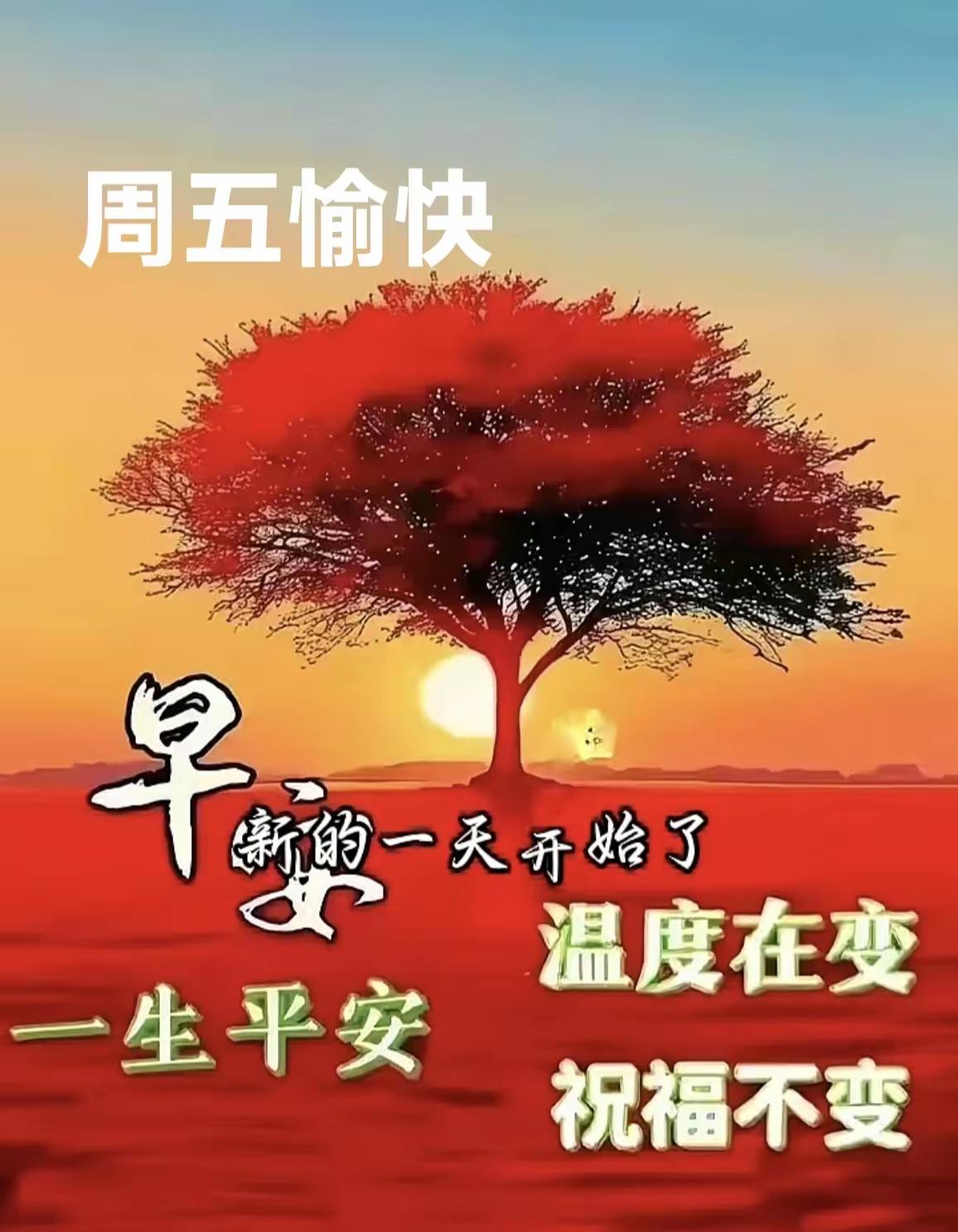 2026年10月9日，星期五早上好🍂新的一天，秋意安然。不必追赶