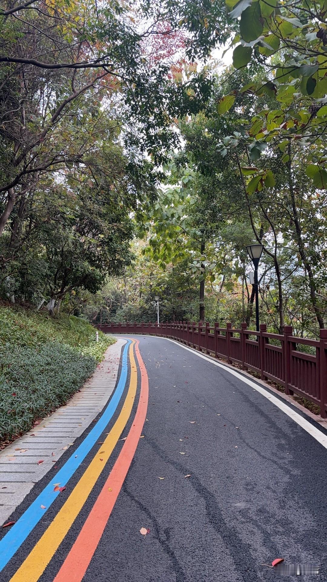 一个家族想要兴旺，唯一可能性就是：全员托举那个最有可能的人，让他安心心发展，无论