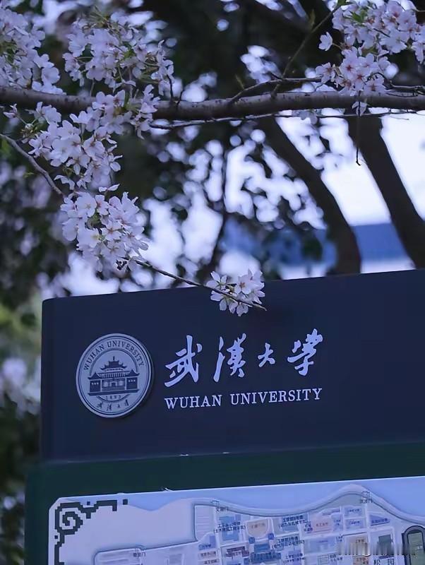 这就是二胎的意义！”山东，爸爸将一块蛋糕放到2岁的女儿面前时，女儿一眼看到就喜欢