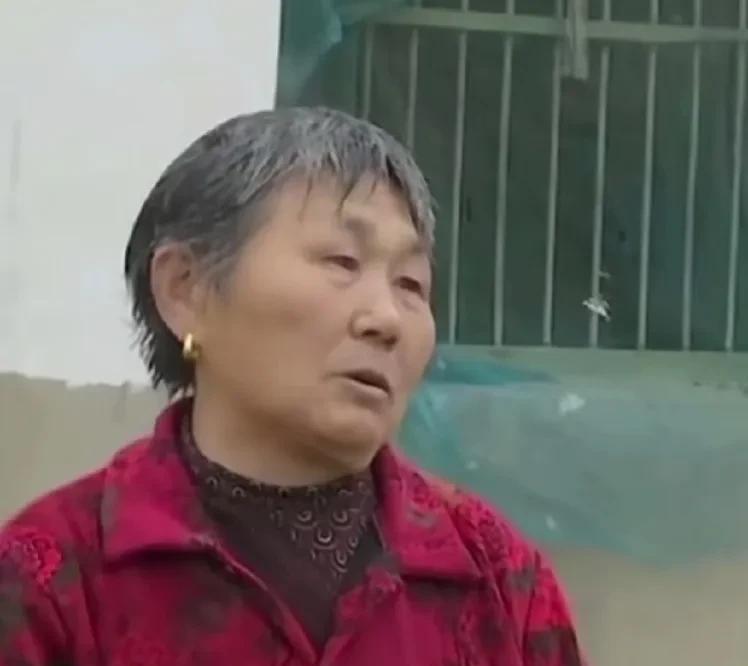 三岁男孩傍晚被爸爸批评后赌气离家出走，和他一起不见的还有家里的大白狗。一家人找了