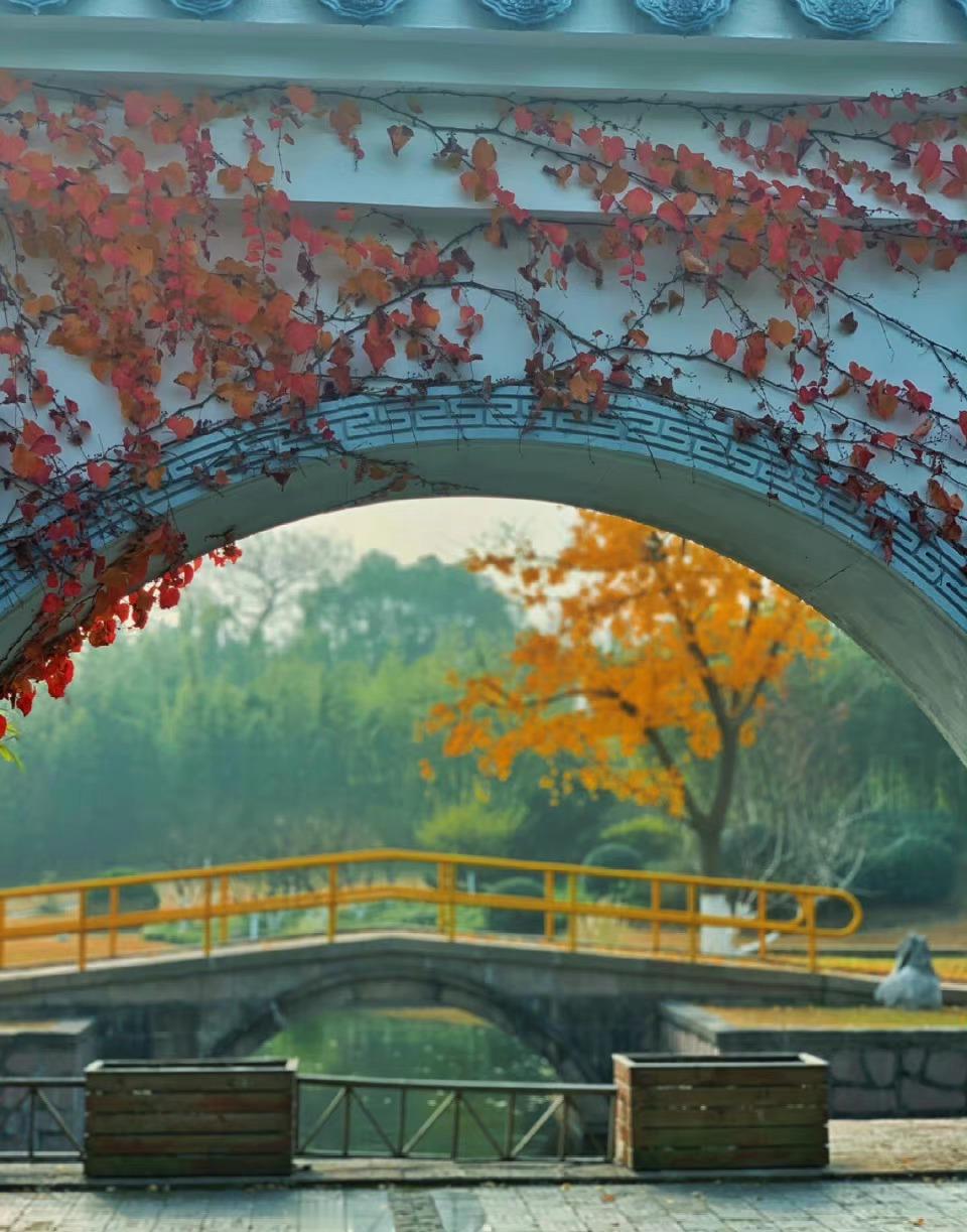 “今天飞花令｜主题【有、时】古诗词”