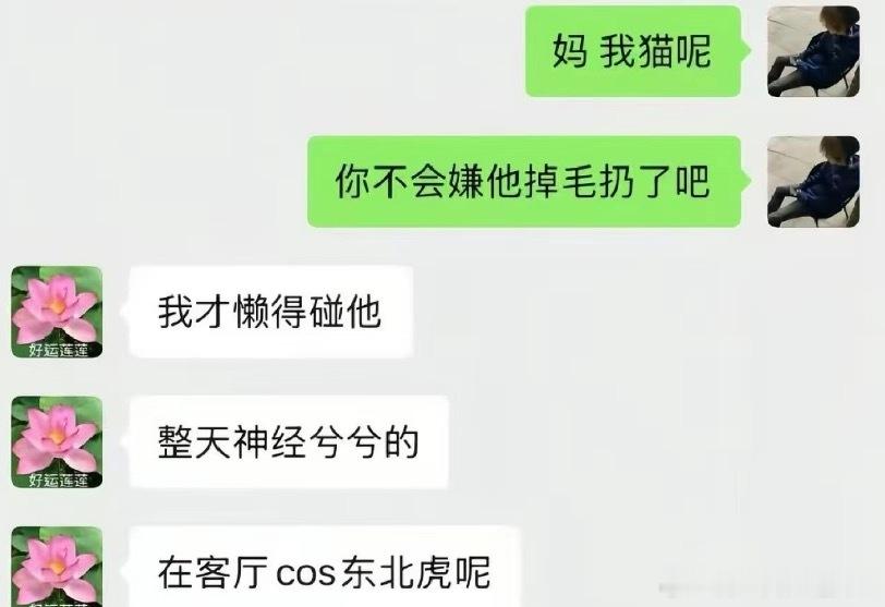 《猫在客厅cos东北虎呢》
