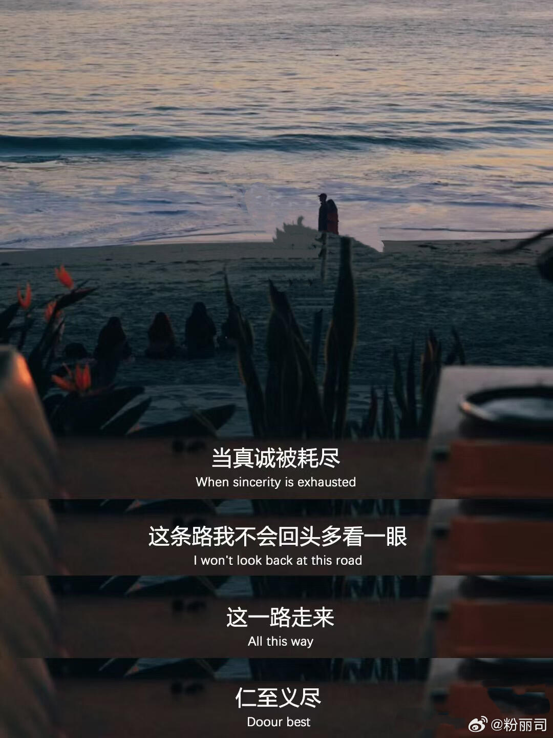 原来绝情可以这样，恋爱脑的姑娘快来看看当真诚被耗尽这条路我不会回头多看一眼这一路