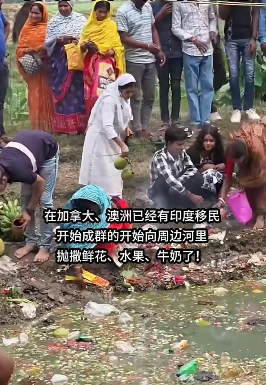 在加拿大、澳洲，已然有成群的印度移民开始往周边的河里抛撒鲜花、水果和牛奶。他们觉