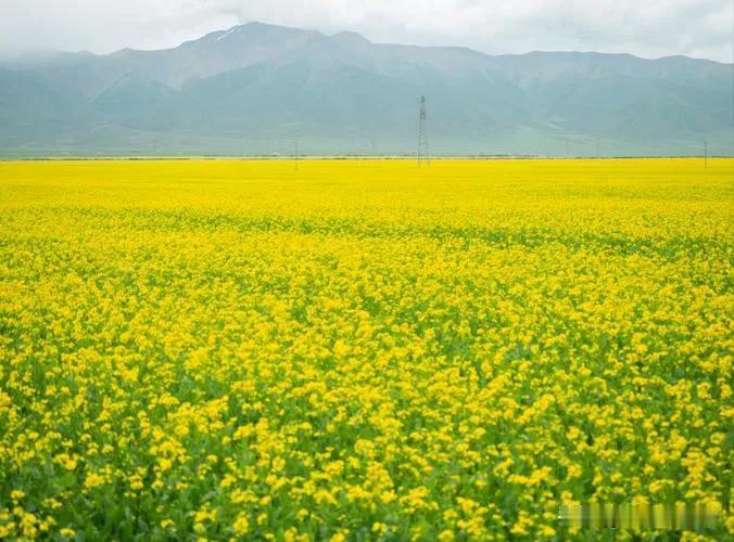 农闹不是平等要养老金吗？可以呀，按照社保制度参保缴费，按制度领取养老金。不是羡慕