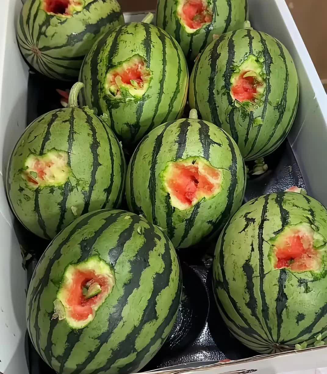 太恶心了一男子在地里忙活了一上午，摘了一车瓜，回家吃口饭，瓜放在门口，本