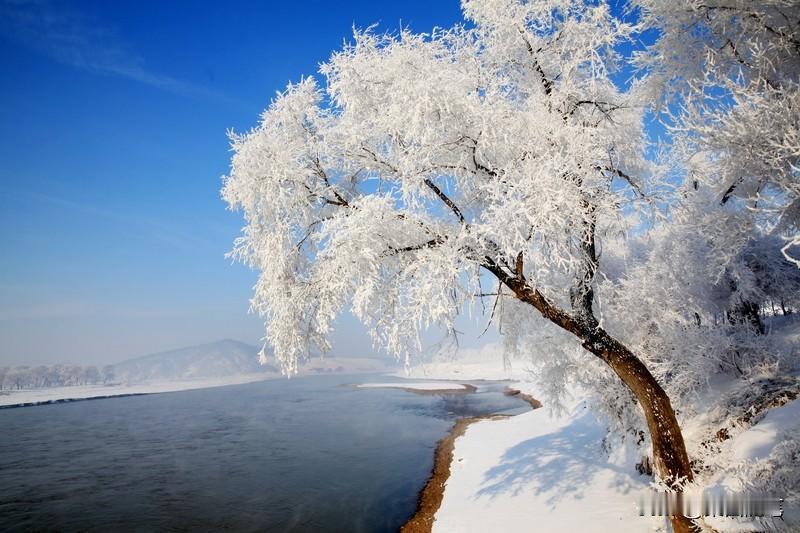 道家《静心诀》全文为：冰寒千古，万物尤静；心宜气静，望我独神；心神合一