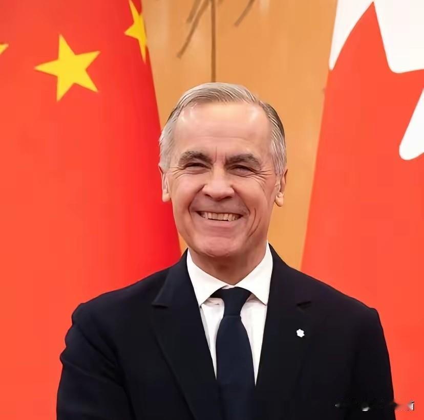 媒体不要急着高兴，关于和加拿大贸易协定，差距可不小啊。加拿大给设定的新能源进