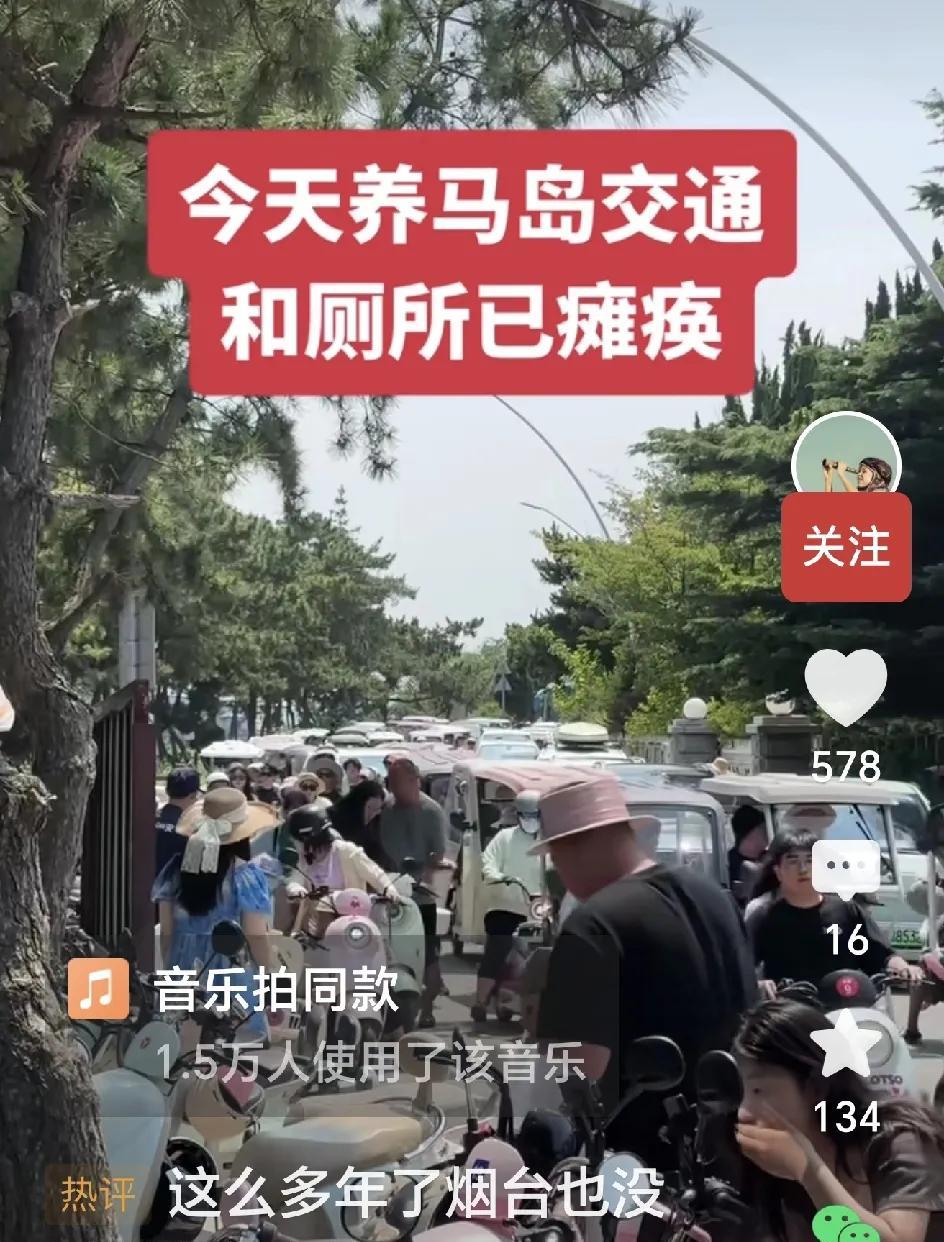 夏天旅游旺季的养马岛上，车挤人涌的热闹景象，真把我惊呆了。五十多年前，我在养马