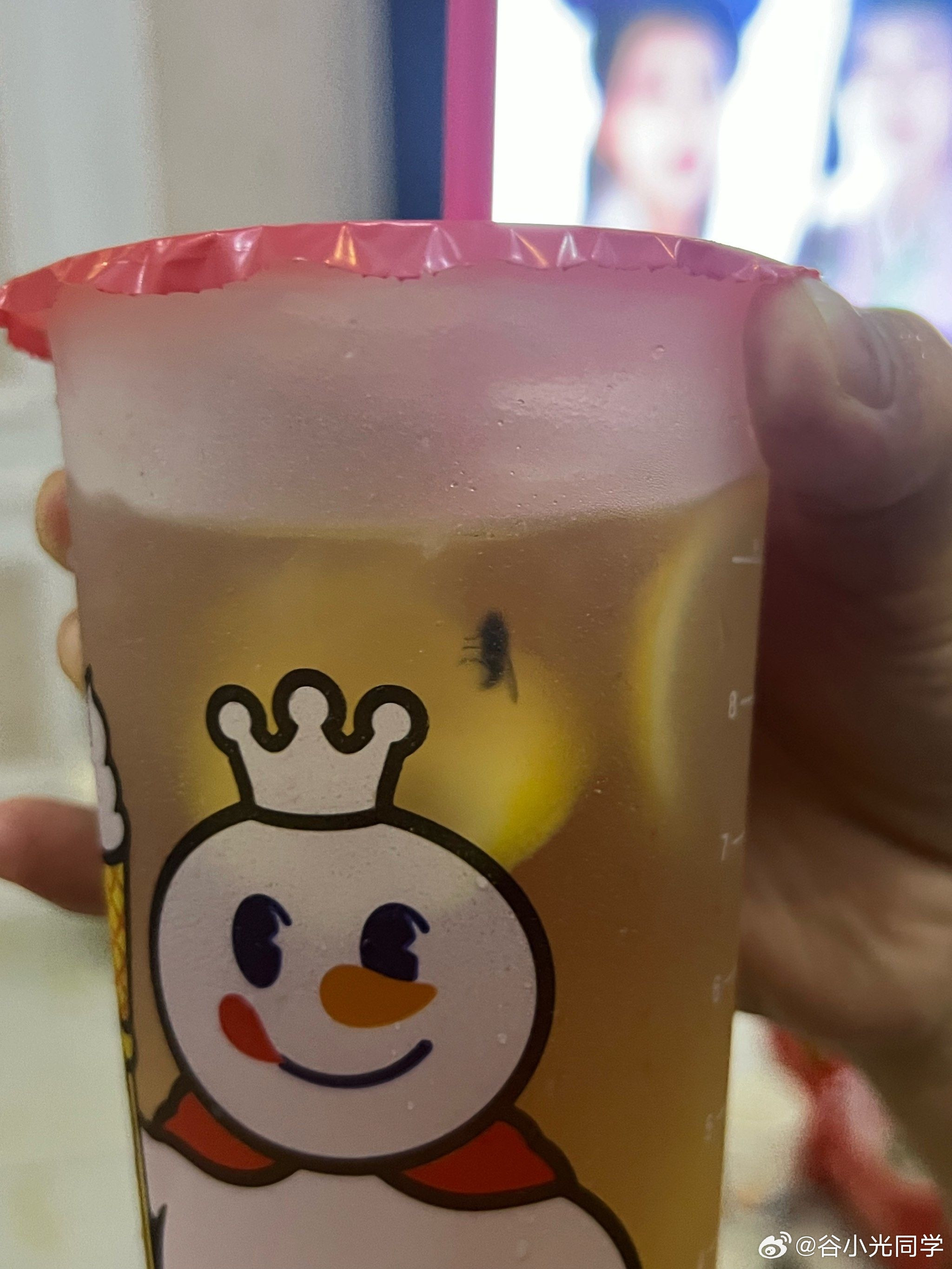 315晚会蜜雪冰城这波真是让人寒心了，隔夜的水果就不说了，虫害苍蝇这块是真的恶