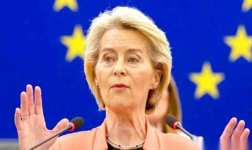 这事儿真逗。一大家子人（欧盟）商量着怎么给邻居家打架的小孩（乌克兰）凑医药费，