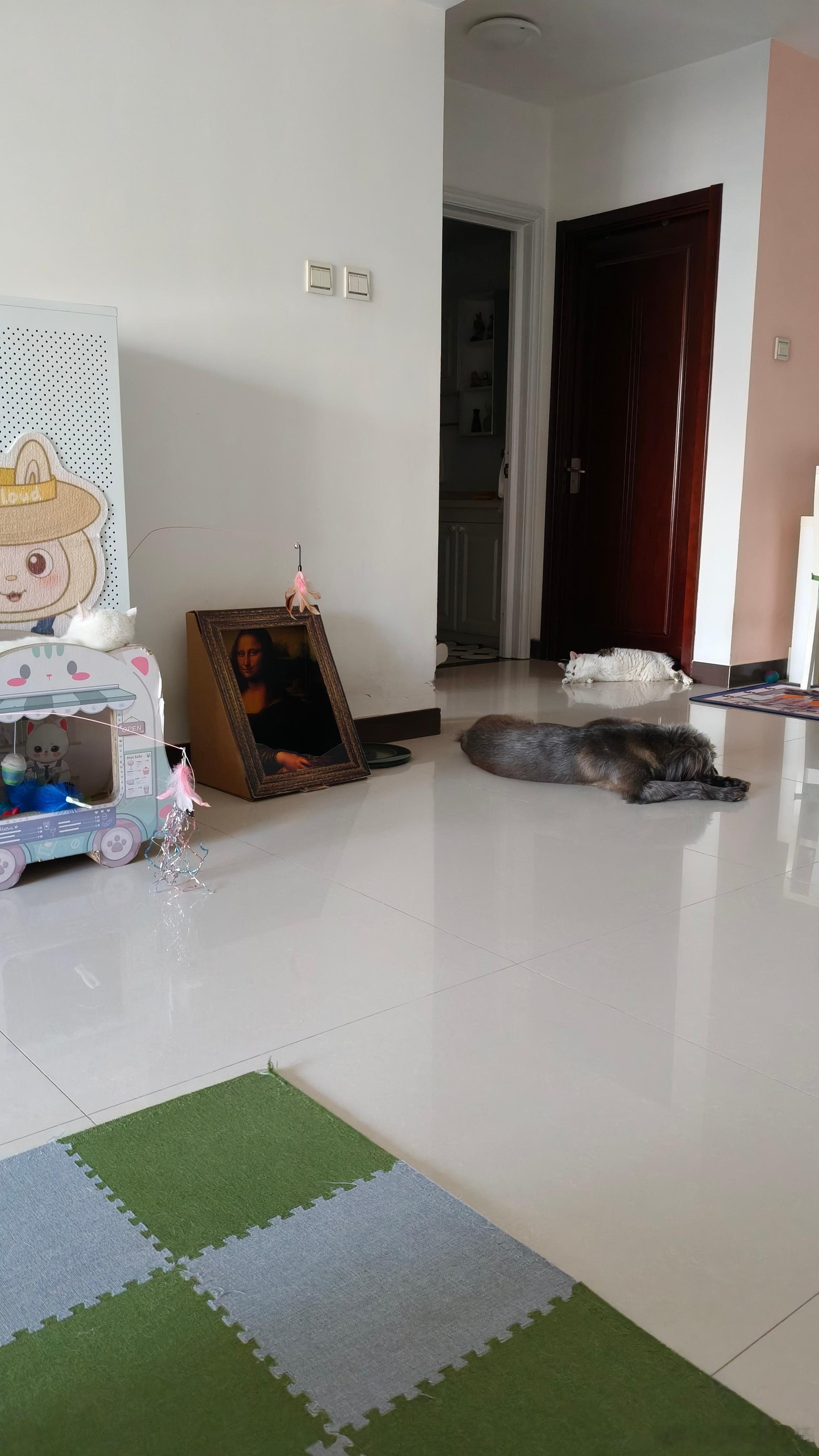 该吃饭了，发现米饭没蒸熟，前些天就出现一次这样了，看来得换锅了，姥爷去京客隆买