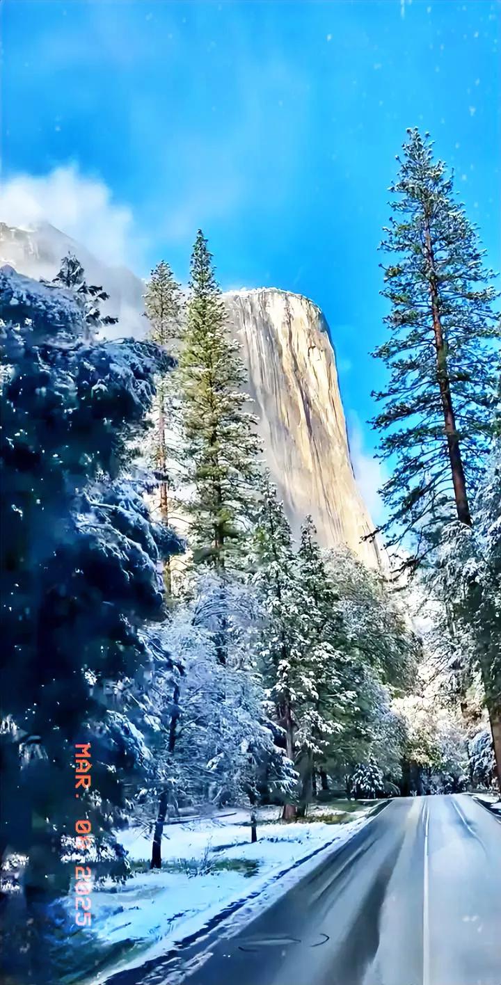 冬日里，巍峨的巨石和白雪覆盖的松树，仿佛置身仙境。雪景奇特景观冬日魔幻风景