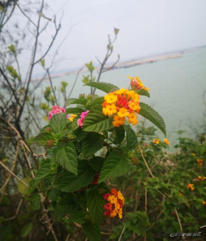 一个平时不爱说话的男人，不一定是忠厚老实，很可能是更精于算计，不轻易表态。一大姐