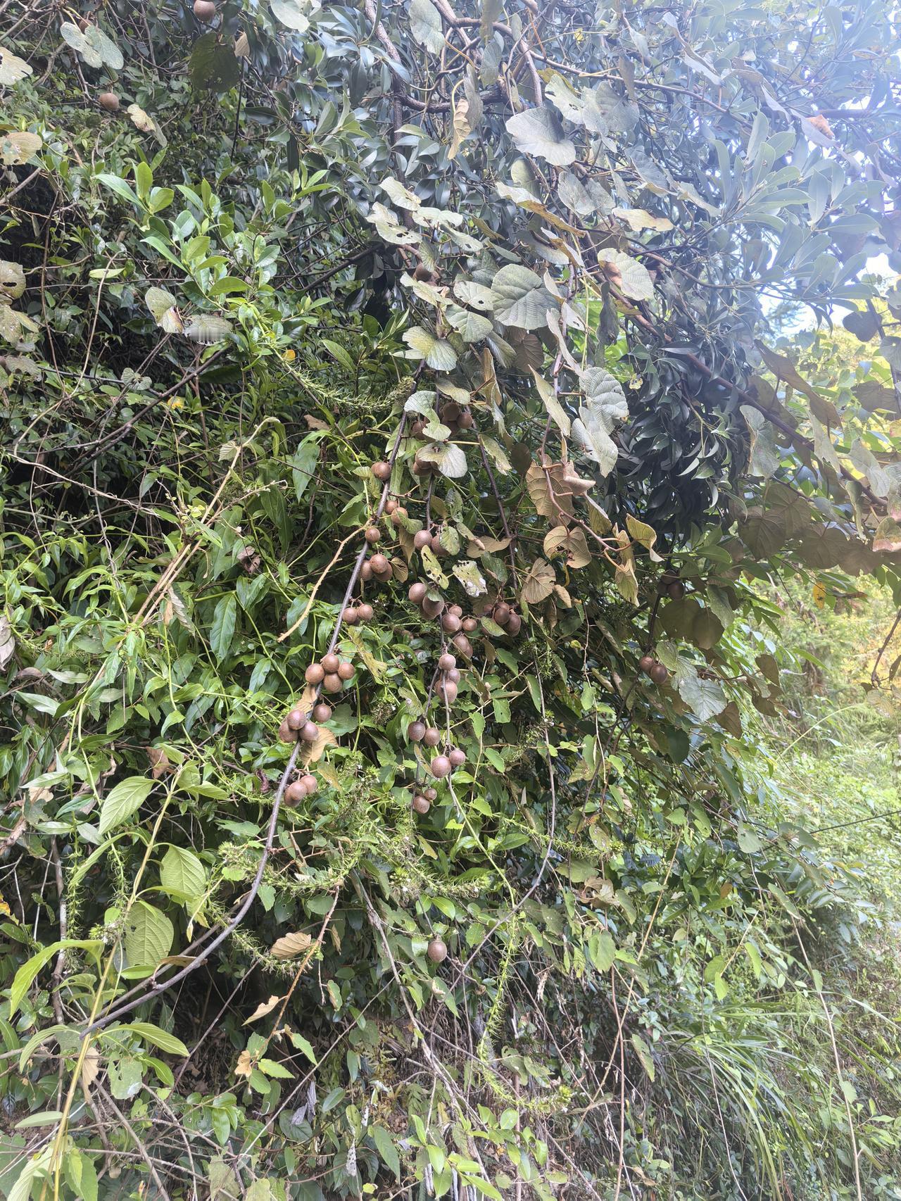 社会潜规则：1．男女之间有肢体接触，关系很容易变得不一样。2．刚认识不久就出