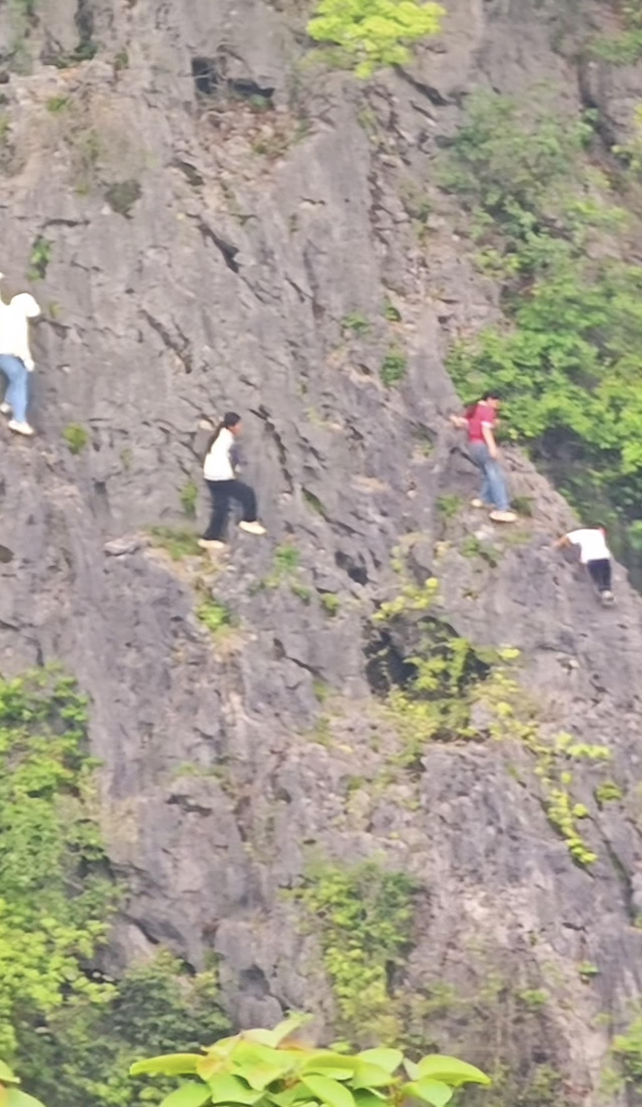 广西网友分享祭祖的一幕，可以看到一群人在悬崖峭壁上行走，目的就是找到自己祖宗的墓