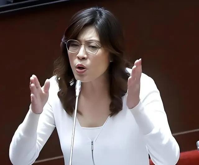 披着羊皮的狼！郑丽文露出她的小心思了。她的目标和我们不一样！总感觉。她