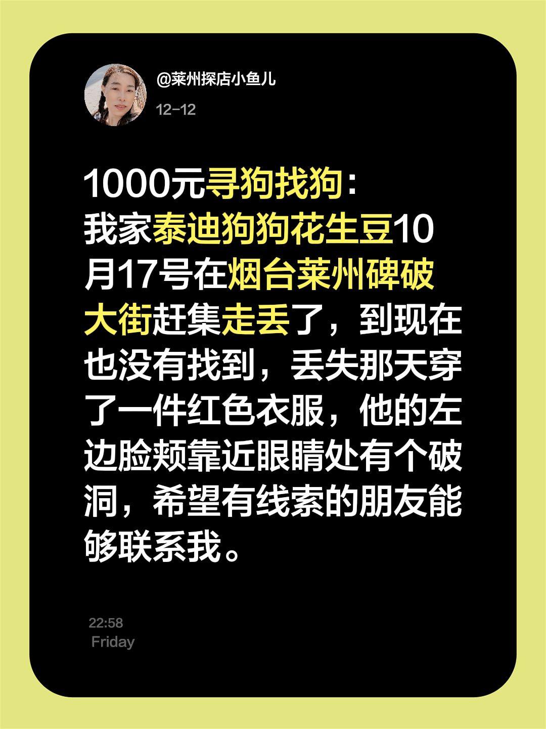 1000元寻狗找狗。我评论了 的作品： 1000元寻狗找狗： 我家泰迪...