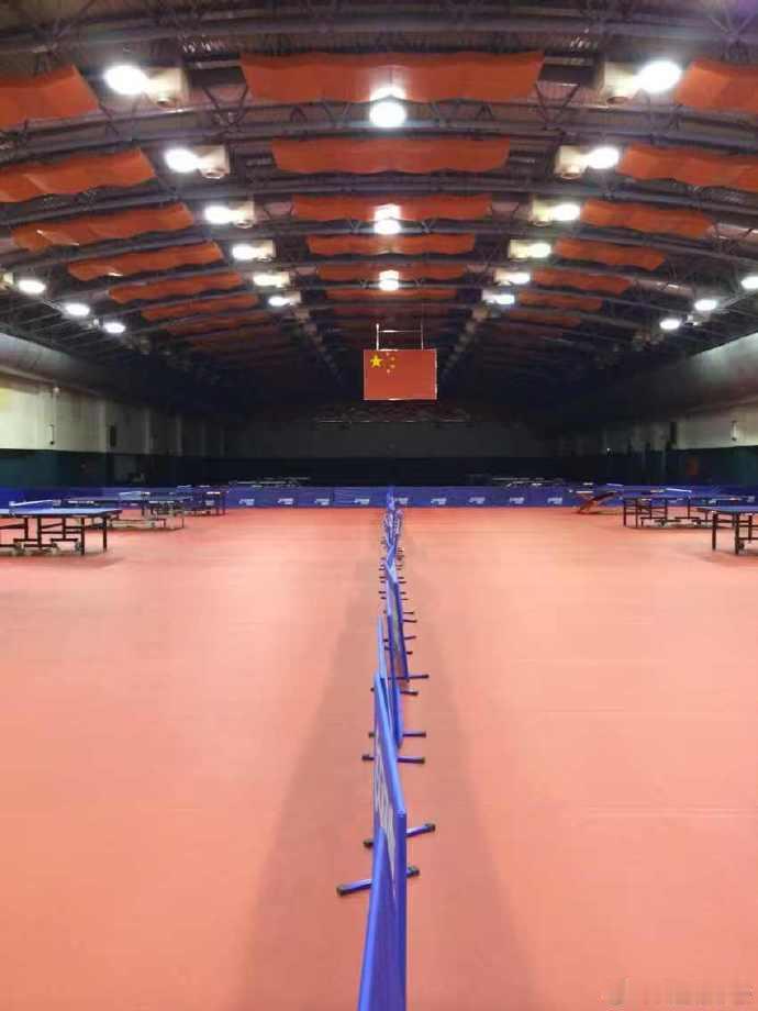 “赵子豪泪别国家队：12年青春，球台上的无悔英雄”