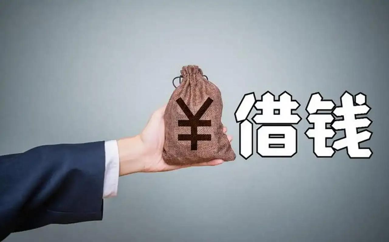 支付宝借呗借了4000元美团借了6000元京东金融借了20000元。刚投奔
