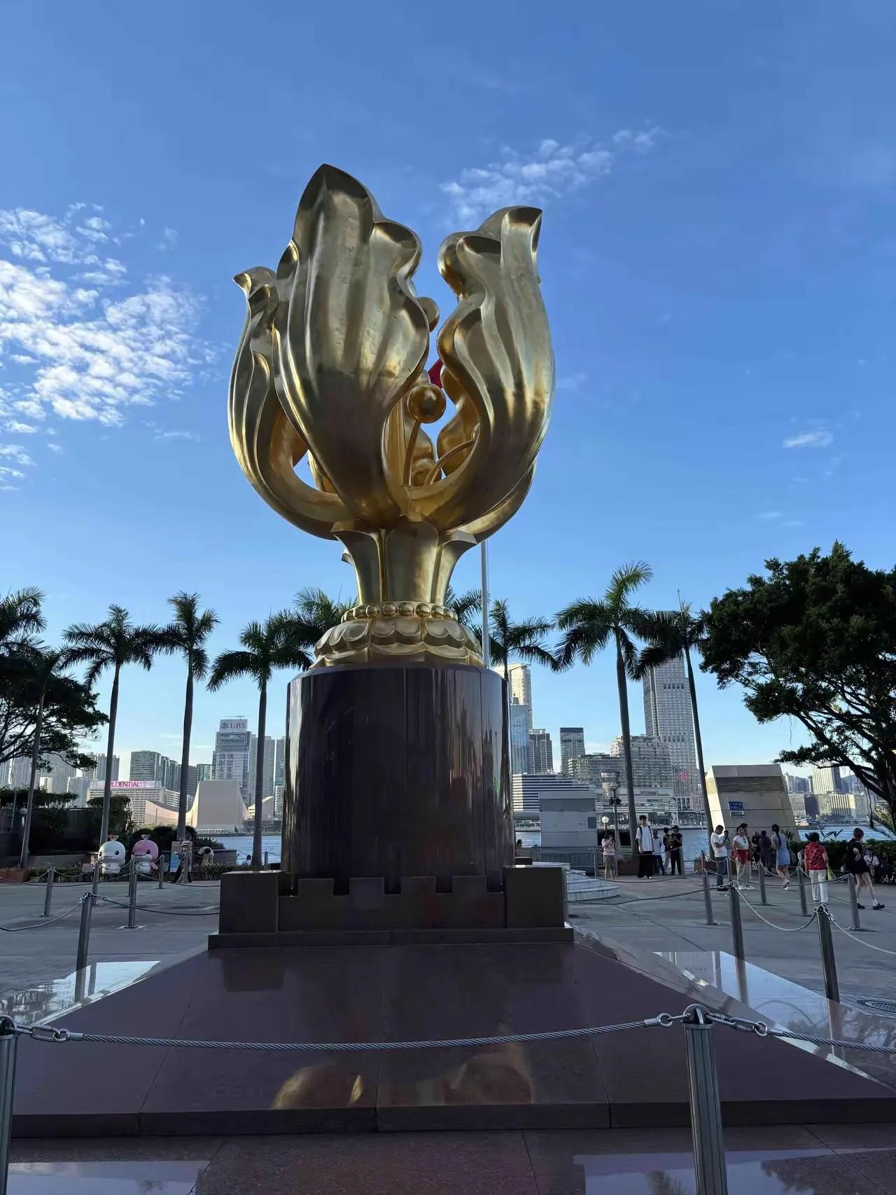 香港街头又现“抢扶老人名场面”！72岁大爷刚摔在斑马线，西装白领、鱼蛋阿婆、外卖