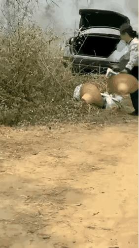 停在草丛里怎么着了呢。