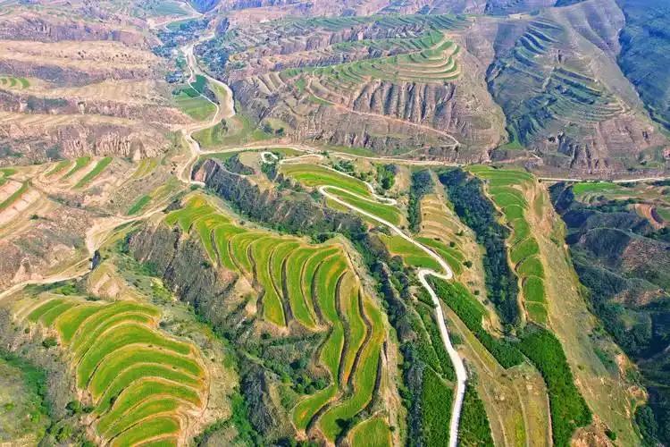 曾几何时，提起黄土高原，人们脑海中浮现的是“山上光秃秃，沟里乱石头，年年遭灾害，