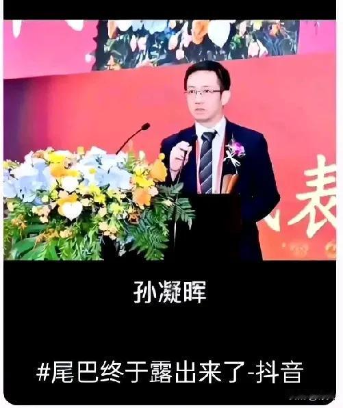 孙凝晖院士离职了，最近AI圈可是炸锅了！中国科学院院士、AI领域的风云人物孙凝晖