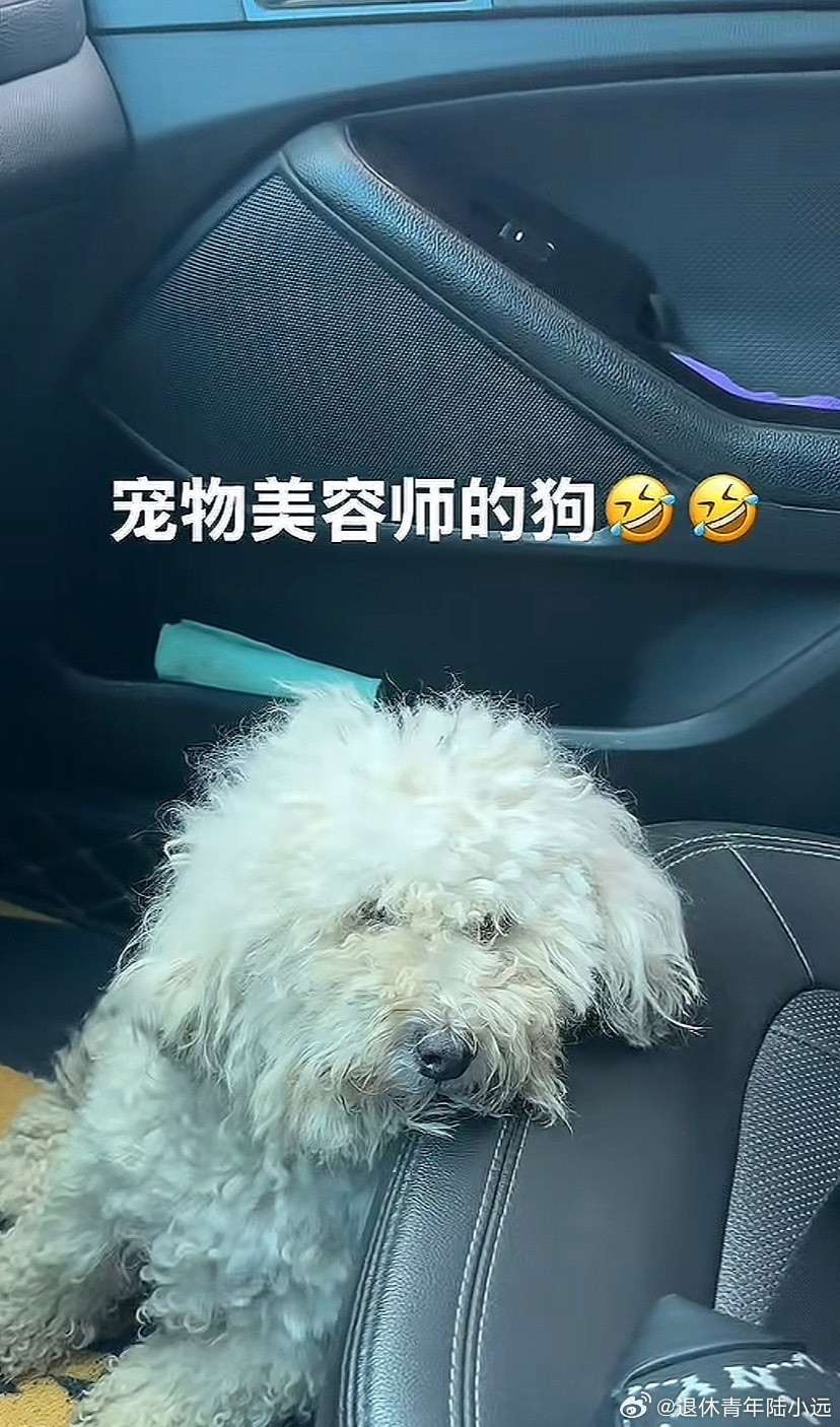 各行各业的桃李满天下家里结苦瓜​​​