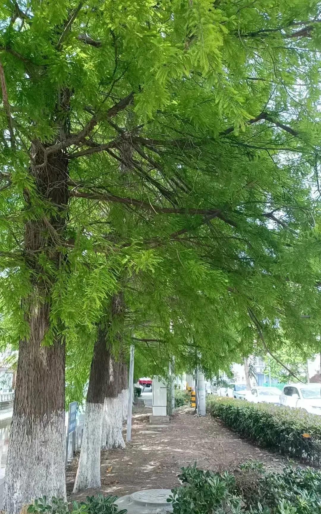 一个数学只能考50多分的五年级孩子找我补课，想过来上暑假班，老学员家长介绍的，又