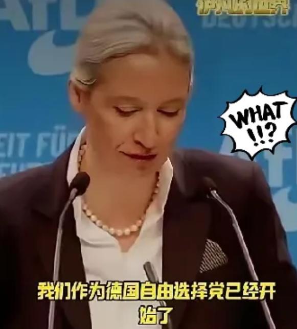 德国人为什么选择魏德尔。因为德国不想被犹太人绑架。这个前纳粹高官的女儿，虽然浑身