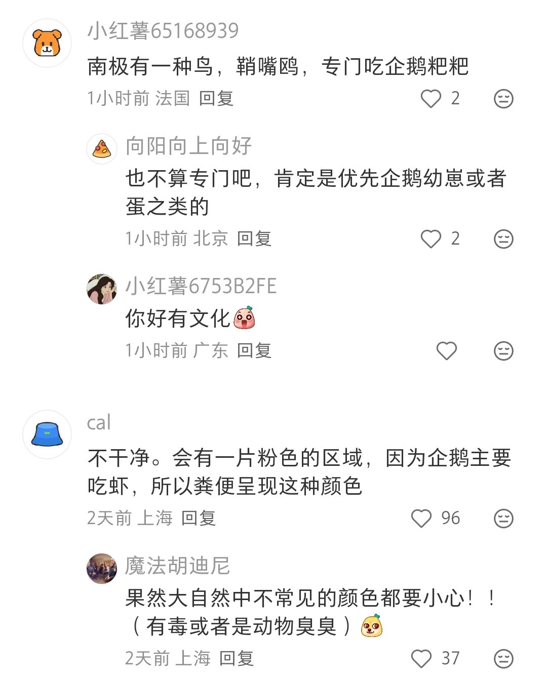 原来南极并不是像电视上看起来的那么干净清新啊，竟然有这么多企鹅的便便，味道熏人