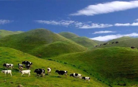 就在广西奇山秀水的桂林,它就是龙胜南山牧场.