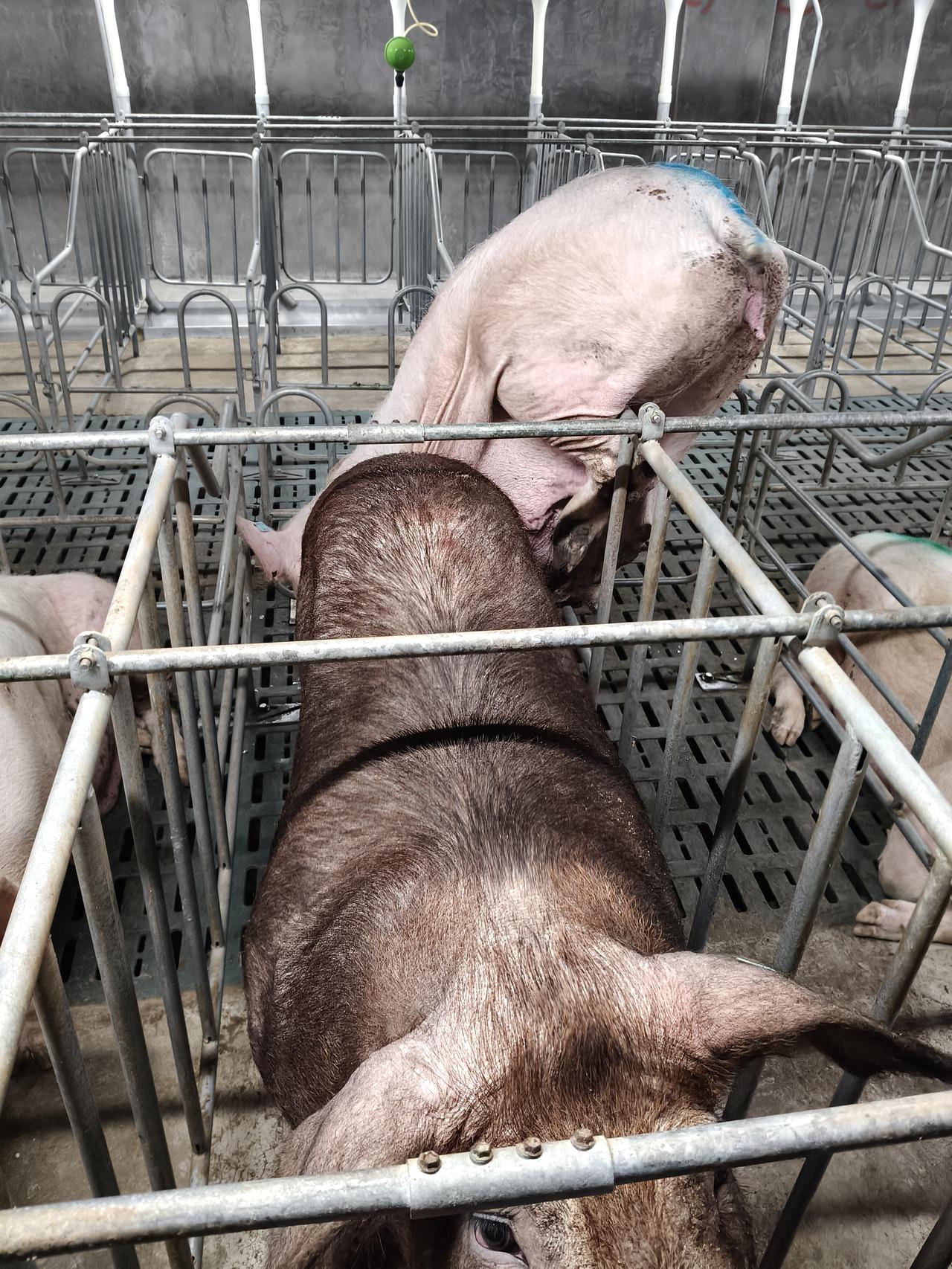 各行各业都不好找工作啊，钱都是被谁挣走了啊，明明下定决心要离职，最后因为自己还没