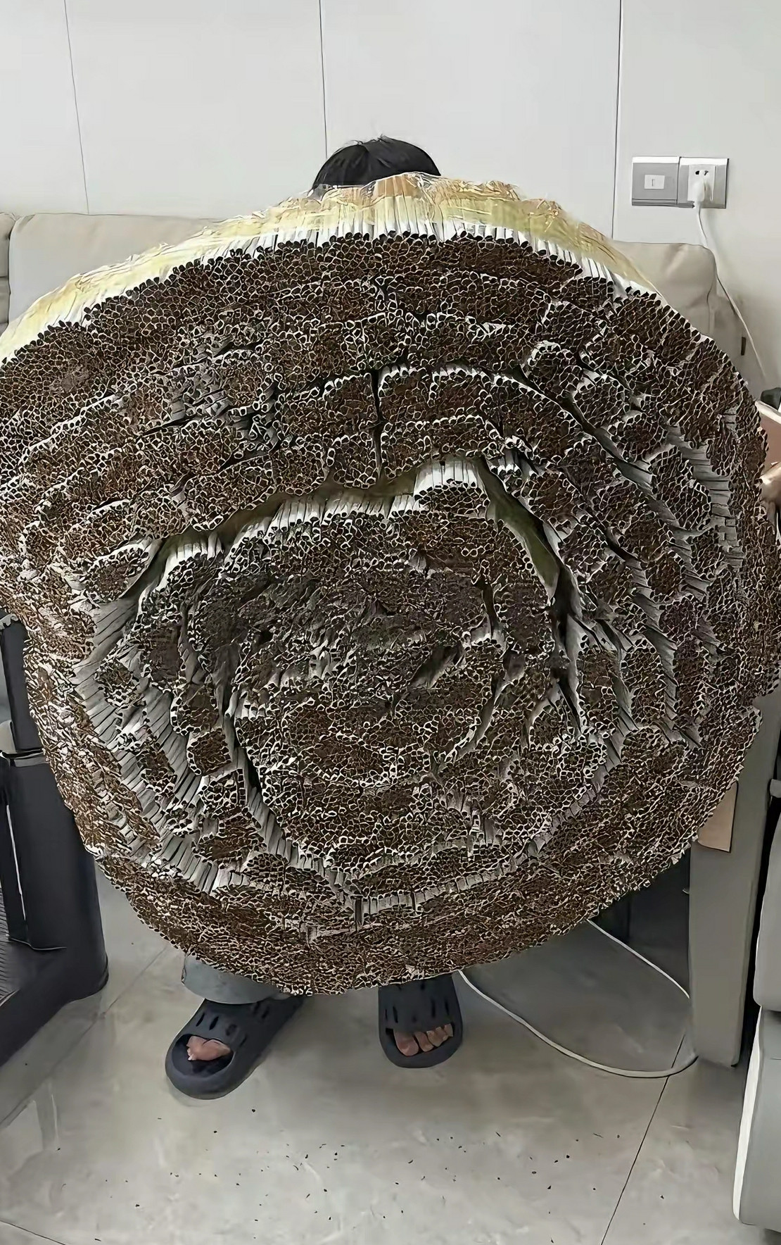 好家伙，这口整上了
