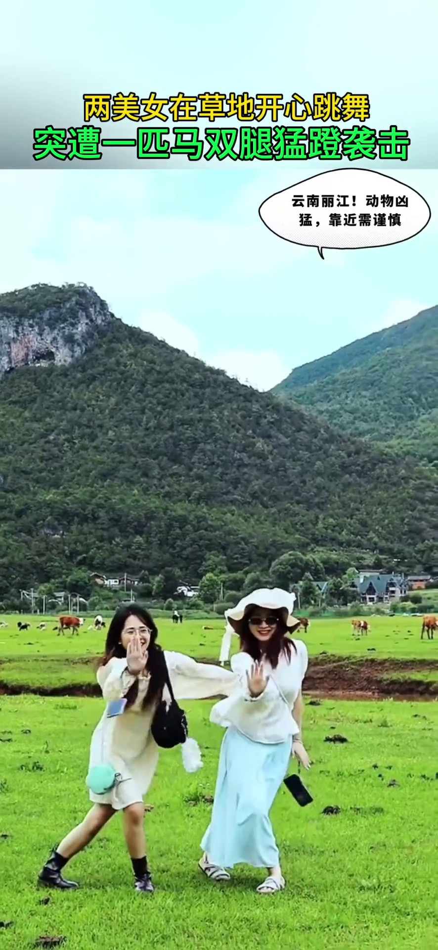 两美女在草地上开心跳舞下一秒遭一匹马突然后蹬双腿袭击