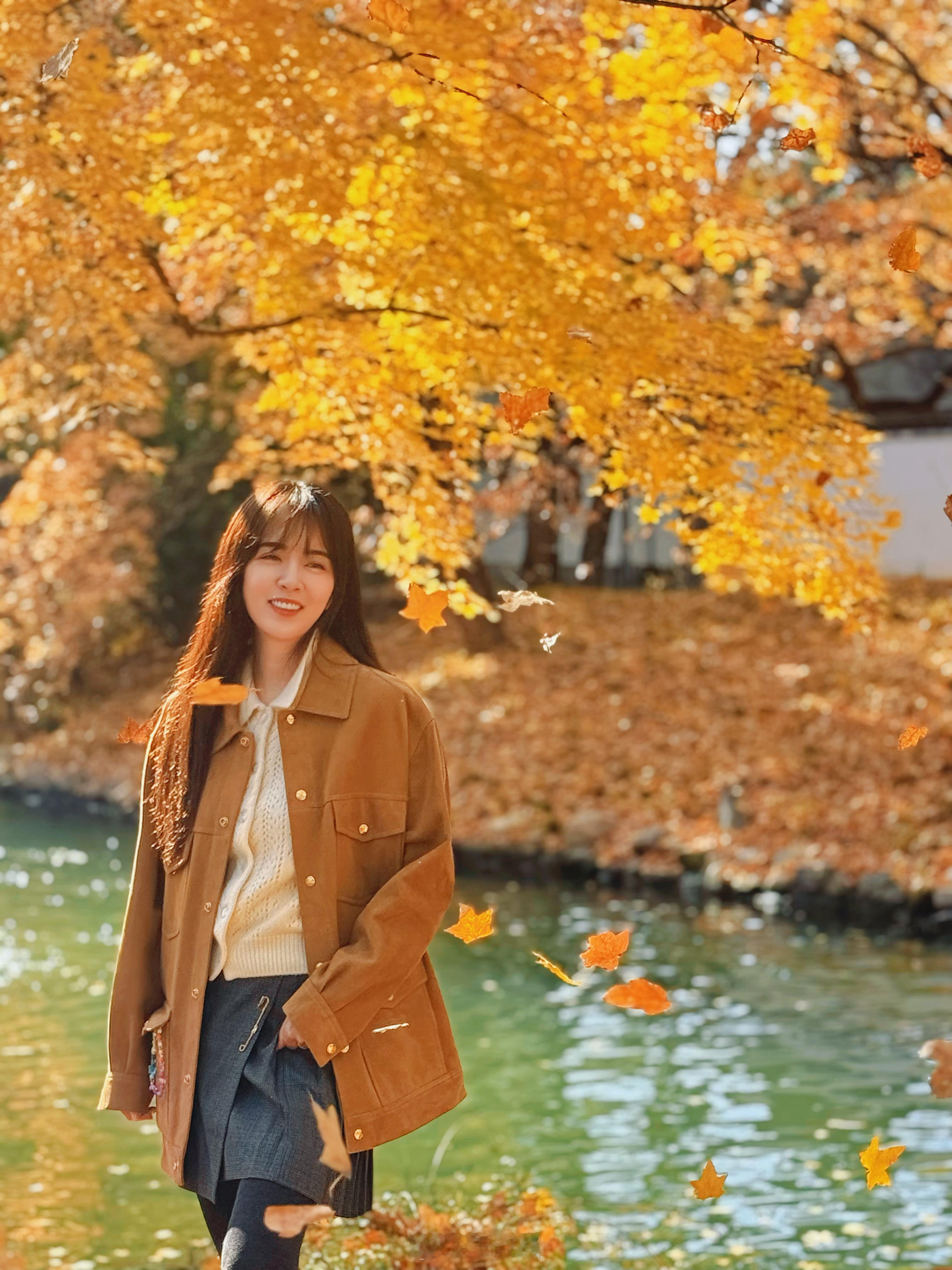 金黄满地，如诗如画🍂🍁