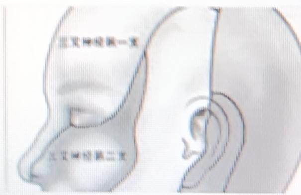 耳朵响不停真的太折磨人了，白天烦晚上还睡不好。其实可以试试按穴位缓解。像太溪穴，