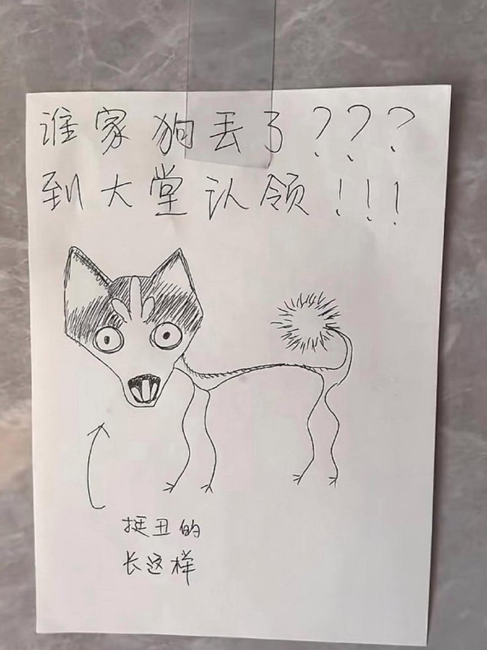 前面抽象派后面写实派