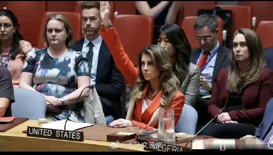 世界秩序正被撕开裂缝！​昨天凌晨，联合国安理会再度上演令人窒息的一幕：美国单枪