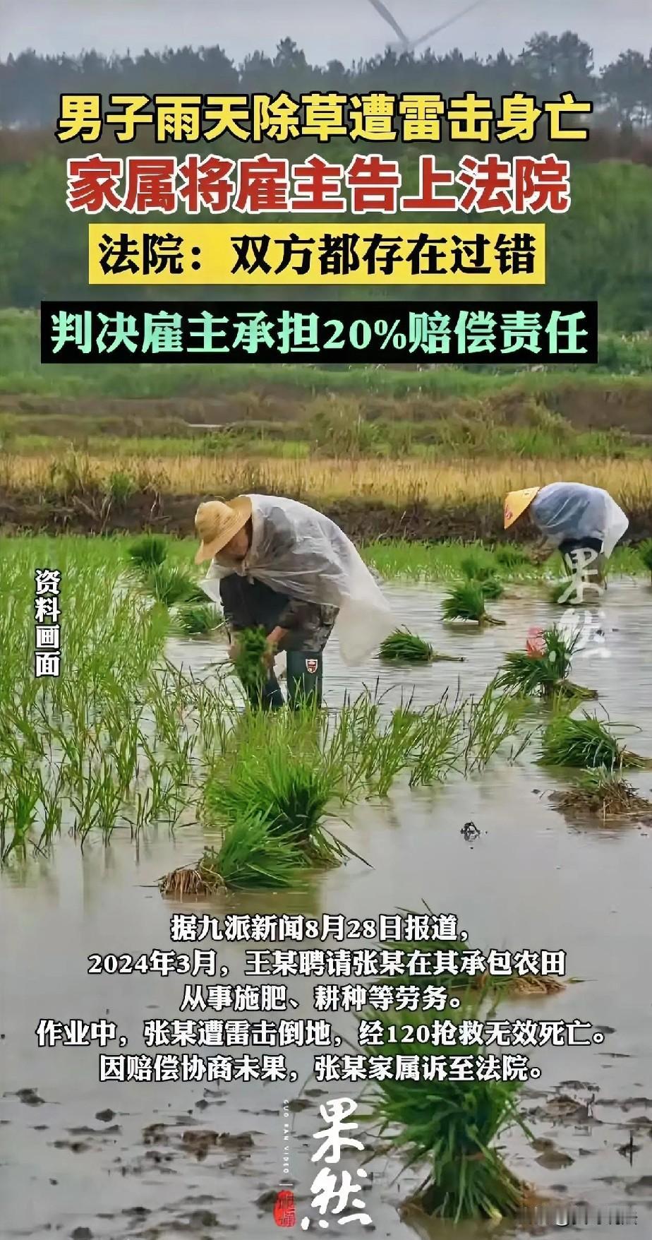 广东广州发生了一起具有警示意义的事件，一名男子在雷雨天于农田耕作时，突遭雷击不幸