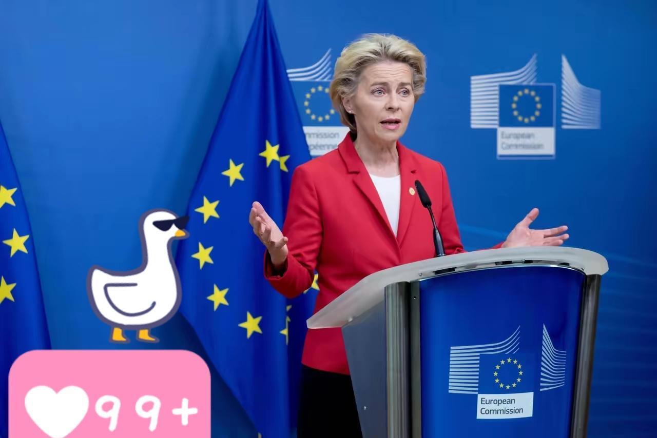 冯德莱恩的一小时通话，能弥补“越顶外交”撕裂的信任吗？当地时间12月28日，