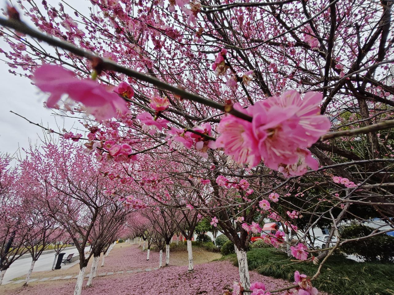 别再让“养生”反过来消耗你了！你缺的根本不是护肝片，而是“缺心眼”。养好身体