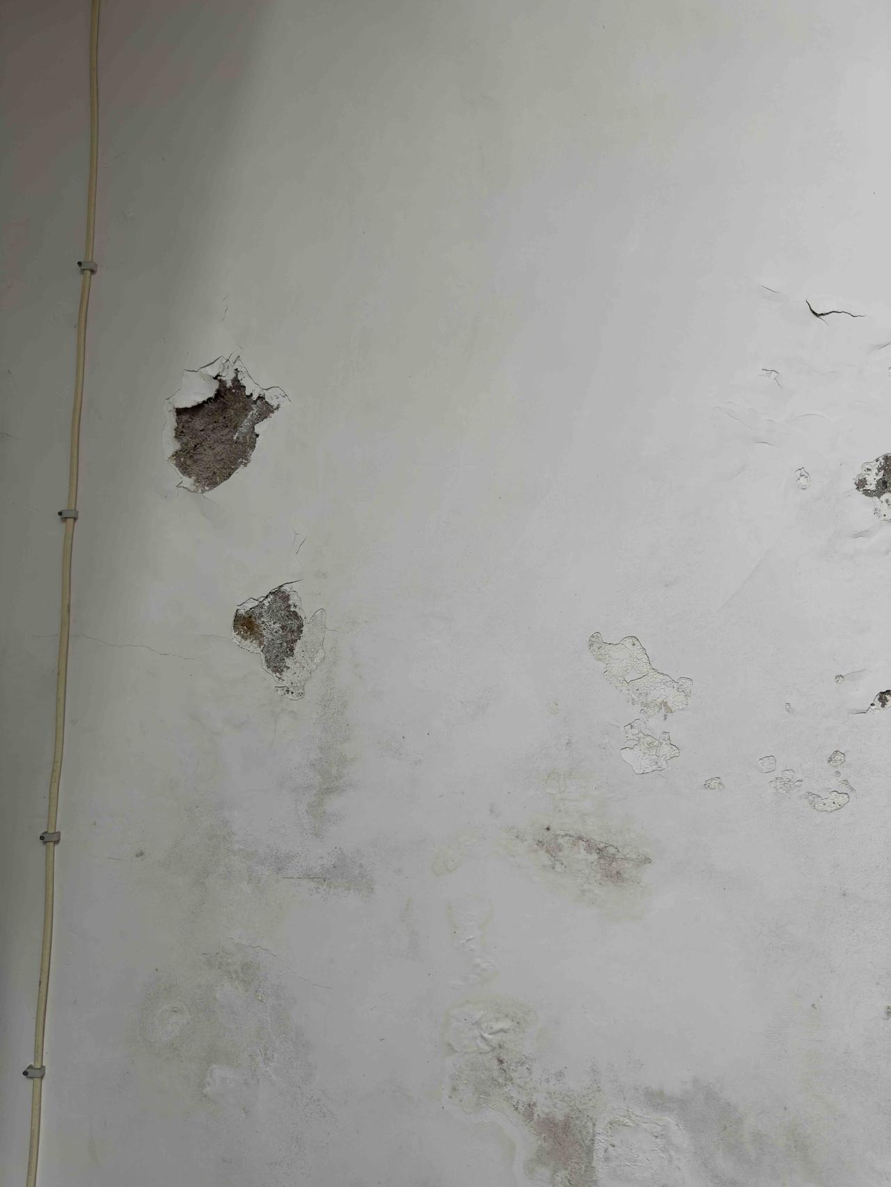 今天我是一个粉刷匠。房子是边套，住20多年了，客厅那面墙壁，外墙下雨天会淋到